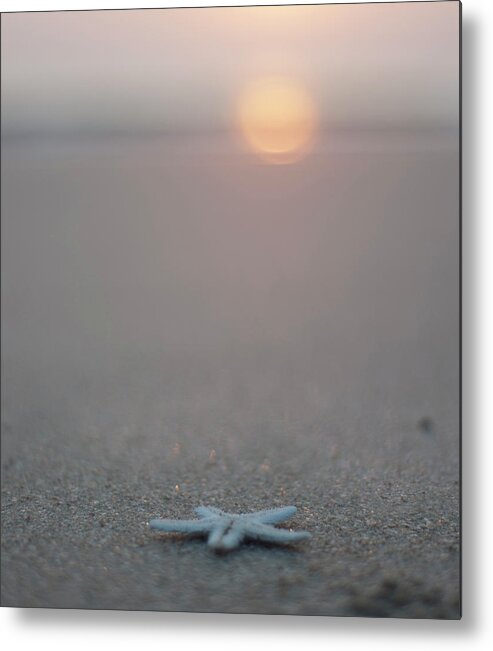 Tranquility Metal Print featuring the photograph Star On The Beach by Rahul De
