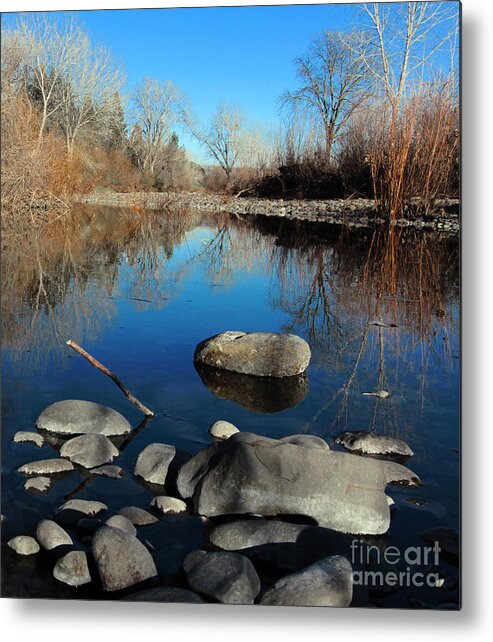 Water Metal Print featuring the photograph Stick In The Mud by David Taylor