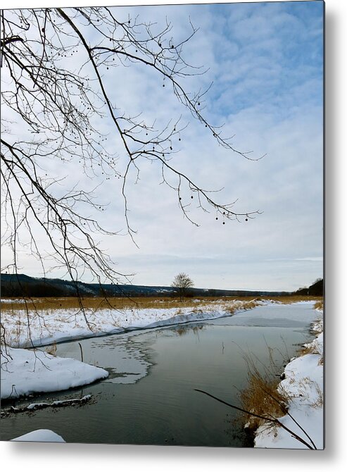 Sycamore Tree Metal Print featuring the photograph Sycamore Over Water by Azthet Photography