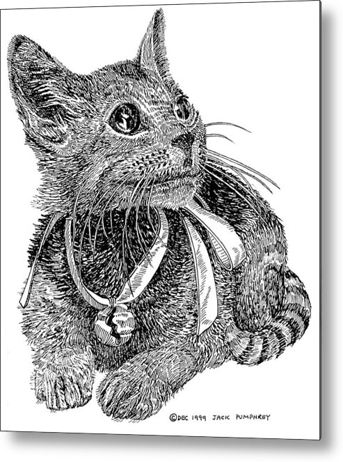 Inked Drawings Of Pets. Pen & Ink Drawings Of Cats Metal Print featuring the drawing Cutie Pie TINKER BELL by Jack Pumphrey
