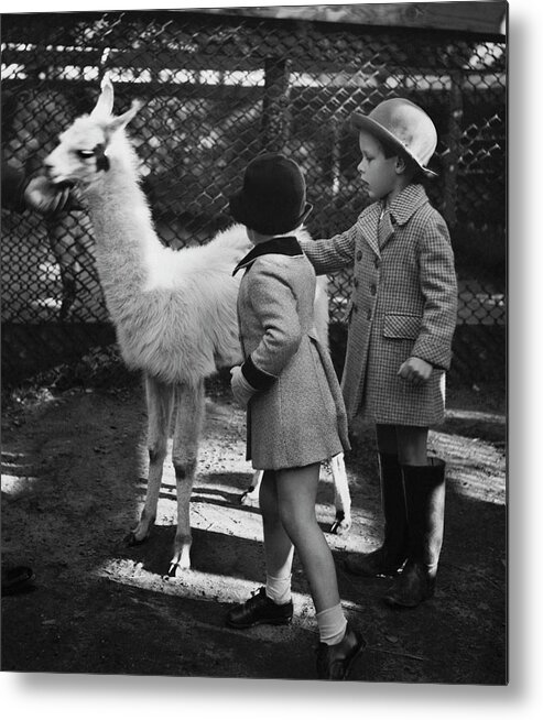Two People Metal Print featuring the photograph Two Children Patting A Llama by Remie Lohse