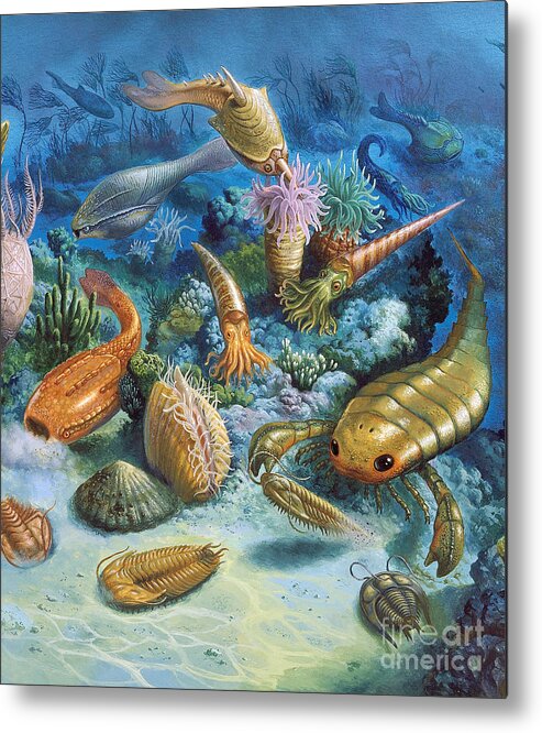 Illustration Metal Print featuring the photograph Underwater Life During The Paleozoic by Publiphoto