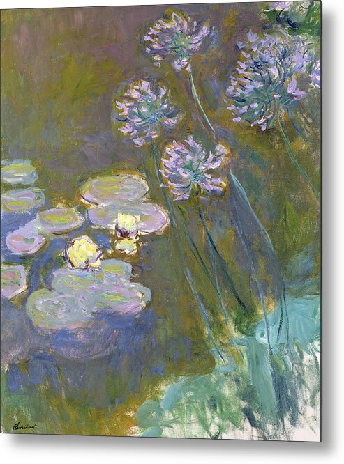 Reproductions Metal Print featuring the painting Waterlilies and Agapanthus by Claude Monet
