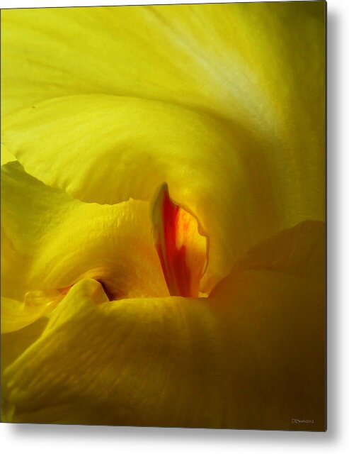 Abstract Metal Print featuring the photograph Yellow Canna Cavern by Deborah Smith