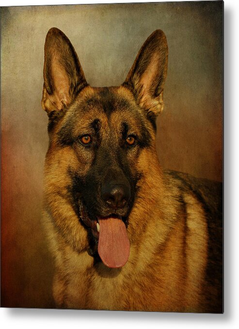 Dog Metal Print featuring the photograph Chance #1 by Sandy Keeton