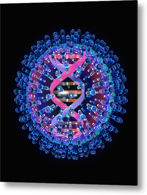 Herpes Metal Print featuring the photograph Herpes Virus Particle, Computer Artwork #1 by Mehau Kulyk