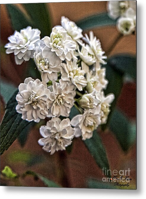 Floral Metal Print featuring the photograph Floral Display by Linda Ebarb