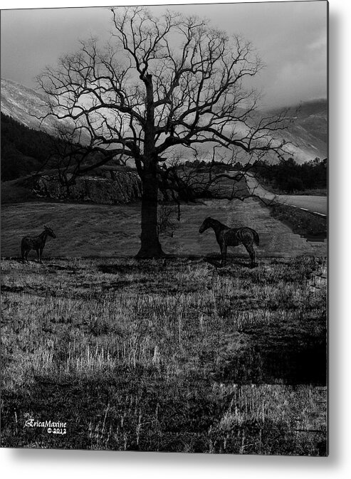 Tn Metal Print featuring the photograph Lonely No More by Ericamaxine Price