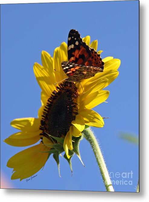 Painted Lady Metal Print featuring the photograph Painted lady on the Sunflower by Yumi Johnson