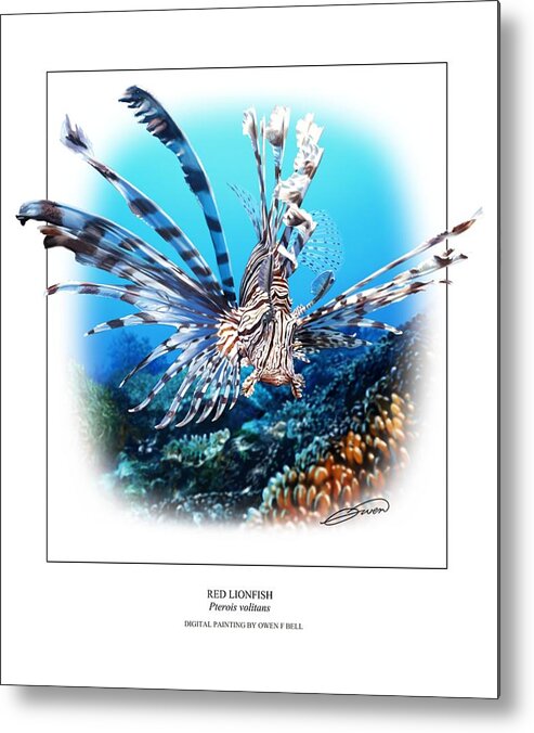 Red Lionfish Metal Print featuring the digital art Red Lionfish by Owen Bell