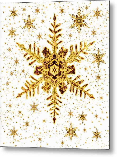 Snowflake Metal Print featuring the photograph Snowflakes by Mehau Kulyk
