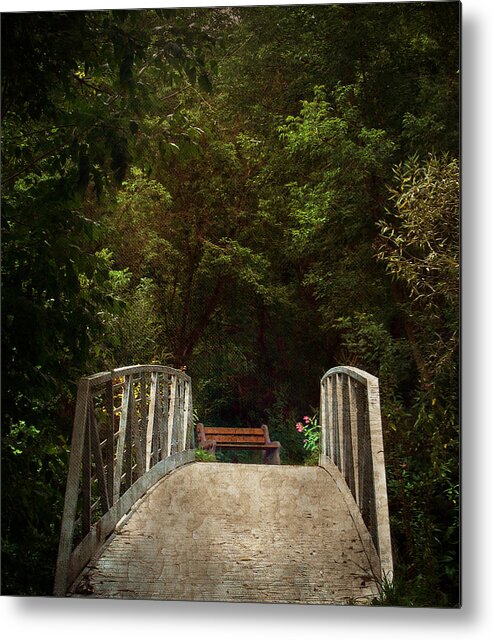 Bridge Metal Print featuring the photograph The Romance is About to Begin by Robin Webster