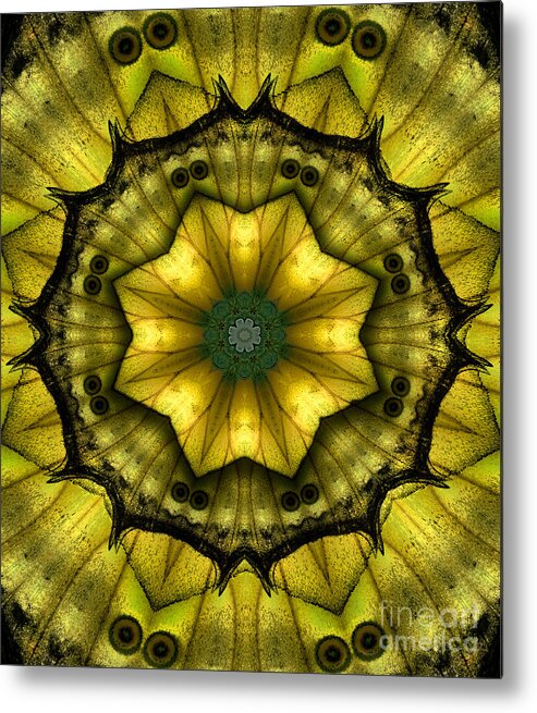 Butterfly Metal Print featuring the photograph Yellow Butterfly Wing Kaleidoscope Mandala by Janeen Wassink Searles