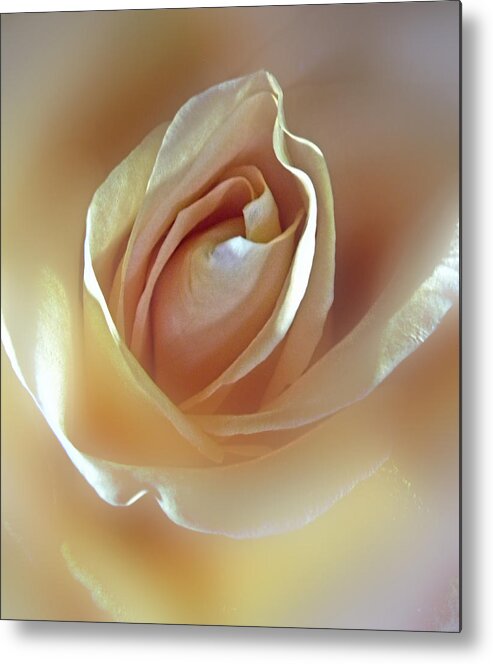 Flower Metal Print featuring the photograph 3977 by Peter Holme III