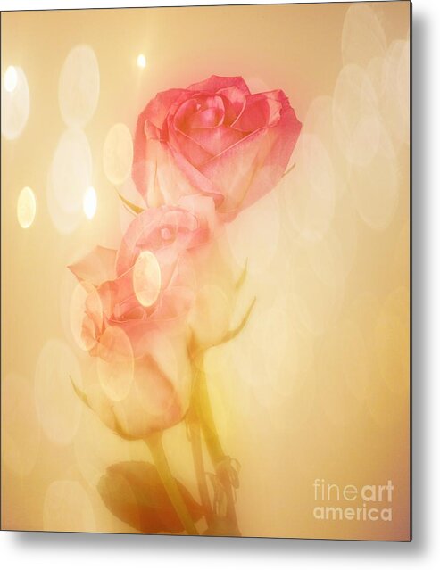Roses Metal Print featuring the photograph Autumn Roses by Shirley Mangini
