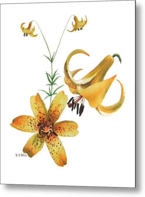 Canada Lily Metal Print featuring the painting Canada Lily Composition by Betsy Gray