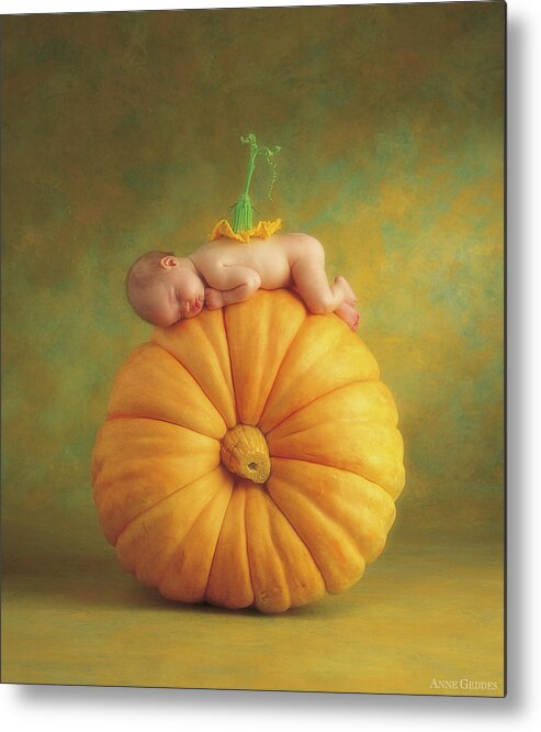 Fall Metal Print featuring the photograph Country Pumpkin by Anne Geddes