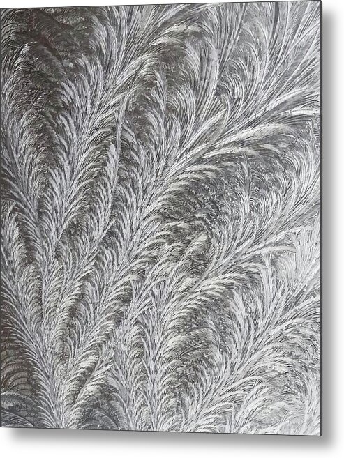 Black And White Metal Print featuring the photograph Fine Lined Cold by Catherine Arcolio