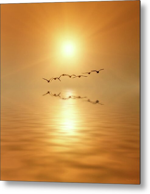 Birds Metal Print featuring the photograph Flying South by Wim Lanclus