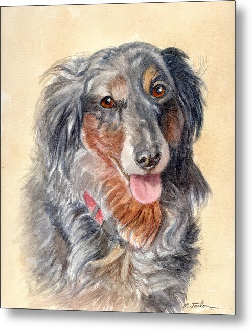 Dog Metal Print featuring the painting Happy Long Haired Dachshund by Phyllis Tarlow