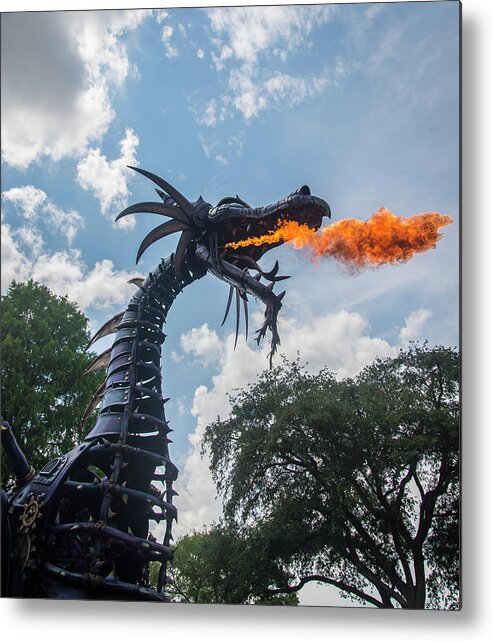 Dragon Metal Print featuring the photograph Here There Be Dragons by Alex Lapidus