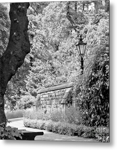 Lamppost Metal Print featuring the photograph Hiding in black and white. by Elena Perelman