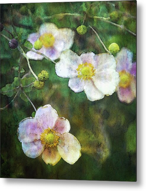 Japanese Anemone Metal Print featuring the photograph Japanese Anemone 4781 IDP_2 by Steven Ward
