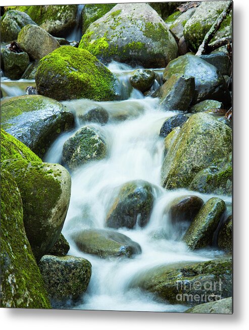 Maine Metal Print featuring the photograph Maine Waters by Alana Ranney