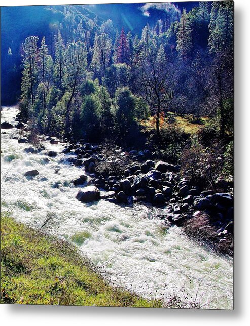 Merced River Metal Print featuring the photograph Merced River Ca C by Phyllis Spoor