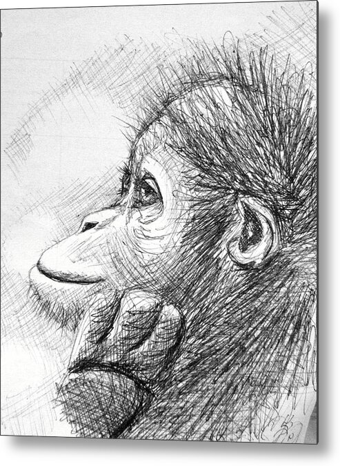 Pen And Ink Metal Print featuring the drawing Monkey Sketch by Scarlett Royale