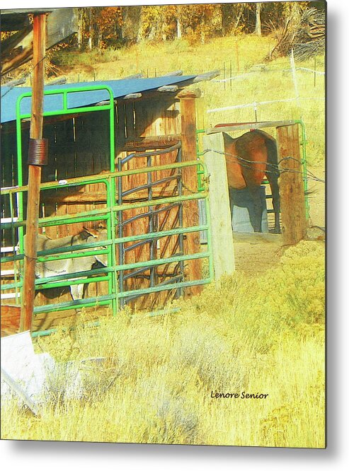 Expressive Metal Print featuring the photograph Neighbors by Lenore Senior