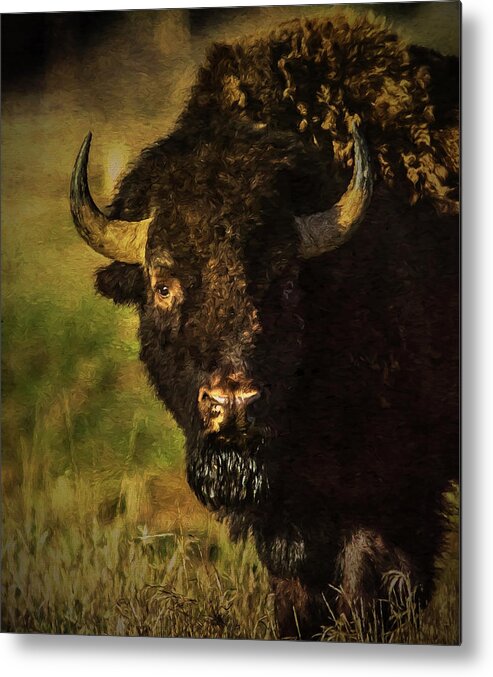Bison Metal Print featuring the photograph North American Buffalo by Lou Novick