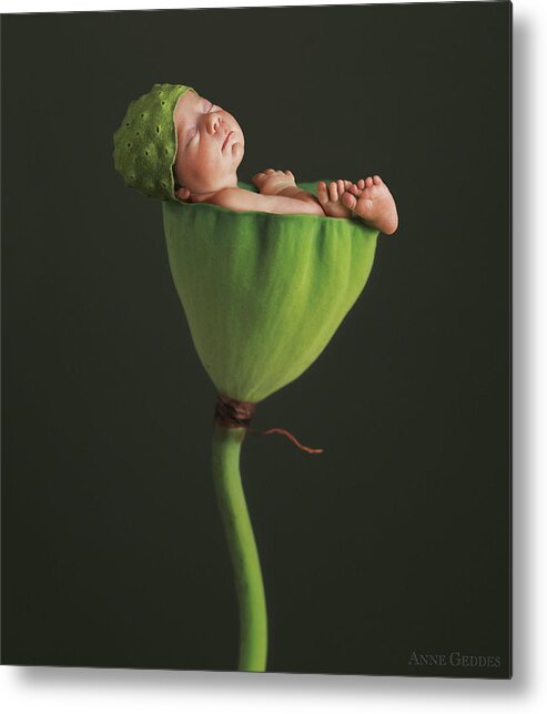 Lotus Metal Print featuring the photograph Nyah in Lotus Bud by Anne Geddes
