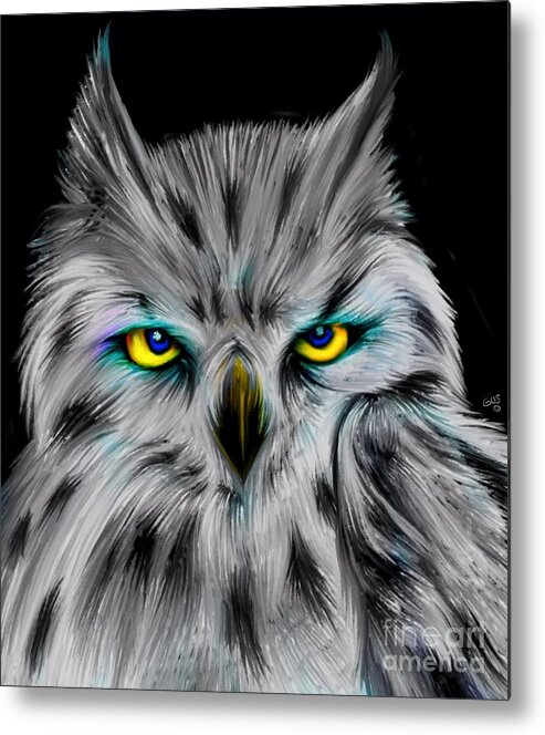 Owls Metal Print featuring the digital art Owl Eyes by Nick Gustafson