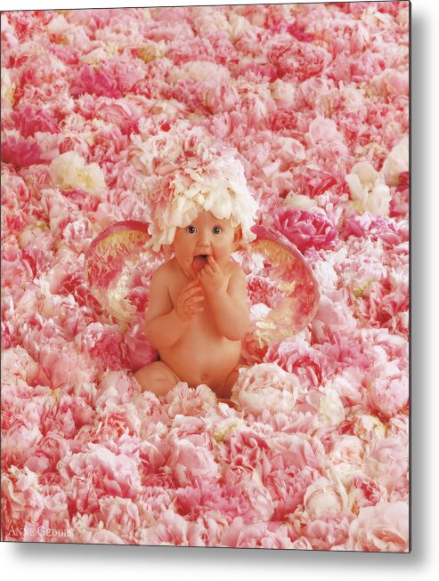 Angel Metal Print featuring the photograph Peony Angel by Anne Geddes