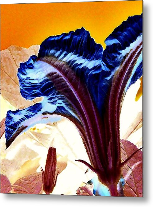 Flower Metal Print featuring the photograph Pumpkin Flower by Lisa Kaiser