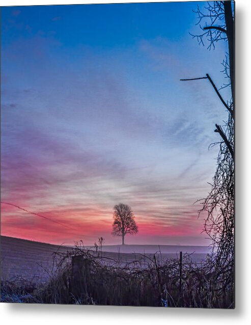 Tree Metal Print featuring the photograph Red sky in the morning, sailors take warning by Joe Holley