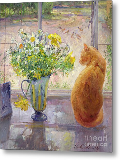 Ginger; Cat; Vase; Narcissi; Chicken; Pheasants Eye; Flower; Flowers ; Window; Open Window; Pheasant Metal Print featuring the painting Striped Jug with Spring Flowers by Timothy Easton