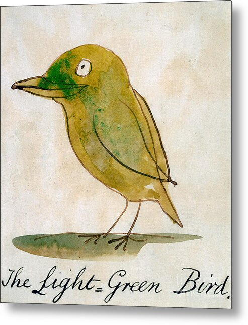 Edward Lear Metal Print featuring the drawing The Light Green Bird by Edward Lear