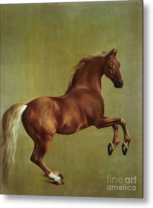 Whistlejacket Metal Print featuring the painting Whistlejacket by George Stubbs