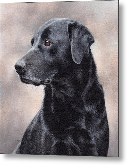 Black Labrador Art Metal Print featuring the painting Black Labrador Painting #2 by Rachel Stribbling
