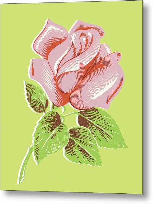 Bloom Metal Print featuring the drawing Pink Rose #1 by CSA Images