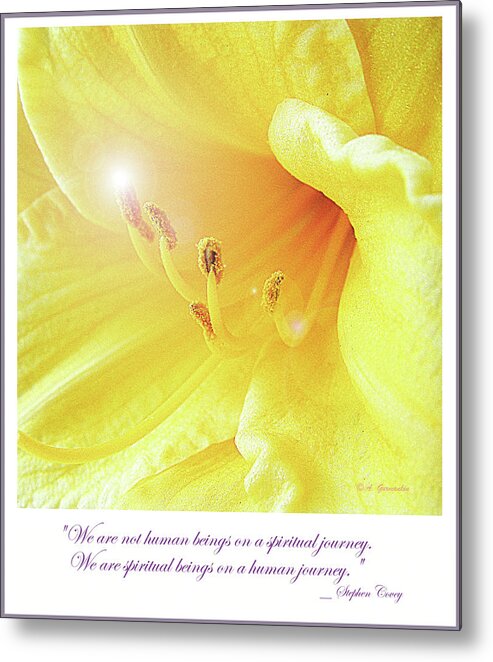 Flowers Metal Print featuring the photograph Lily in Full Bloom #2 by A Macarthur Gurmankin