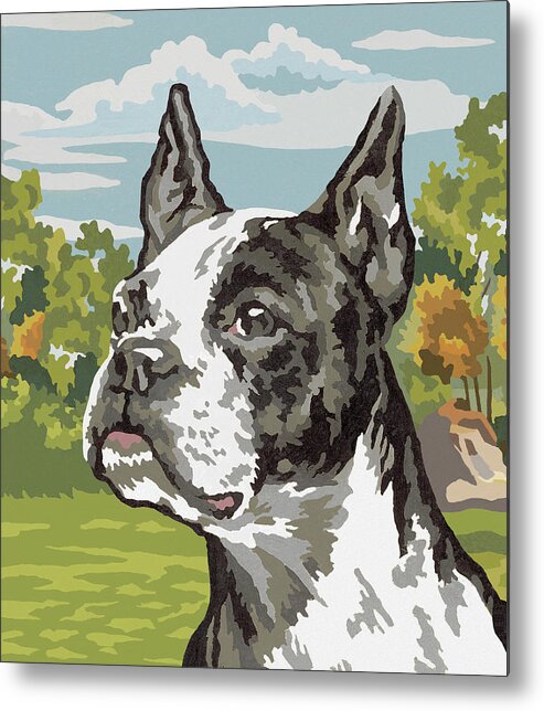 Animal Metal Print featuring the drawing Boston Terrier #24 by CSA Images
