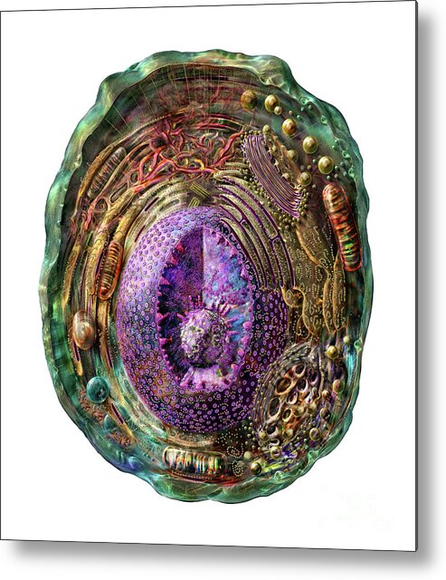 Animal Metal Print featuring the digital art Animal Cell on White by Russell Kightley