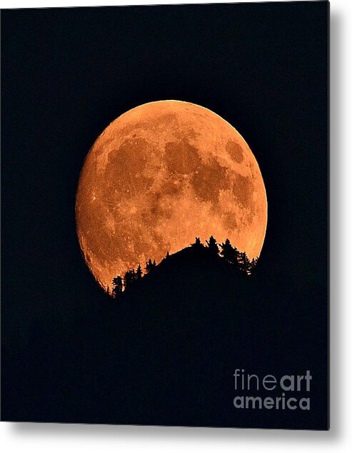 Full Moon Metal Print featuring the photograph Bad Moon Rising by Dorrene BrownButterfield
