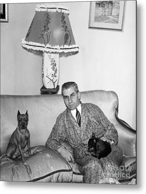 Pets Metal Print featuring the photograph Charles Luciano On Couch With Pets by Bettmann
