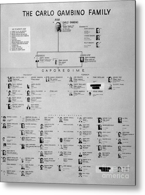 Chart Of Gambino Crime Family Metal Print by Bettmann - Photos.com