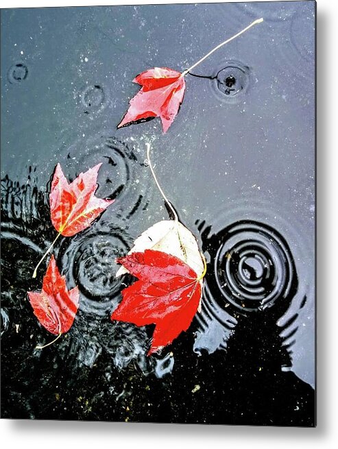 Fall Metal Print featuring the photograph Fall Leaves by FD Graham