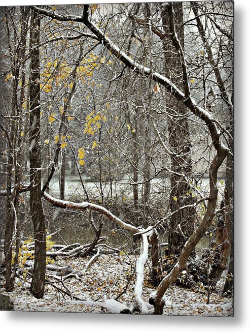 First Snow Fall Metal Print featuring the photograph First Snow Fall 1 by Cyryn Fyrcyd